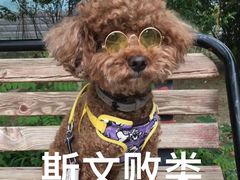 -宝正臻天津包子总店(金阳光居易店)