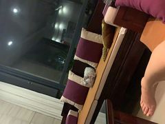 -张钰强中医正骨推拿连锁(唐家人才公寓店)