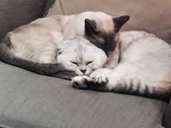 -MIKAKU(万达广场上海宝山店)