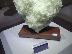 -湖南省地质博物馆