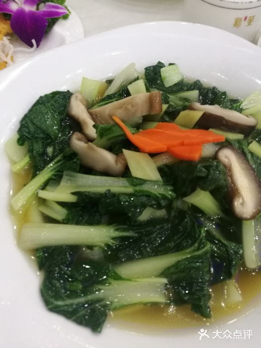新苑酒家(嘉宾路店)图片