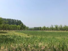 -东郊湿地公园