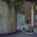 重庆旅行4—白象居