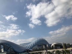 -巴黎迪士尼乐园