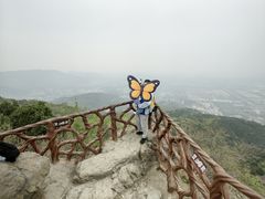 -北京西山国家森林公园