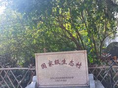 -小洲村