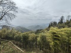 -莫干山风景区