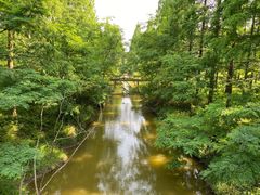 -黄海国家森林公园