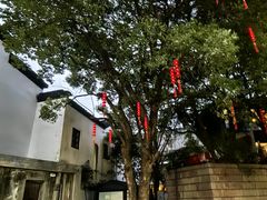 -南宋御街