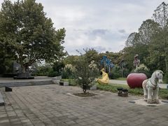 -长广溪湿地公园