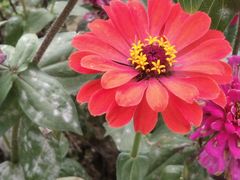 -怡海公园(桂城街道)