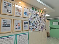 -半岛宠物医院24小时·内窥镜·牙科·碎石中心(府城大道店)