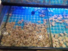 -透明思烤·自助烤肉海鲜火锅(东部星悦天地店)