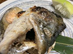 -左舞日本料理