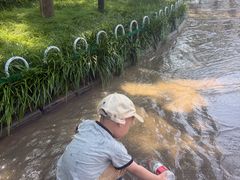 -黄河小浪底水利枢纽风景区
