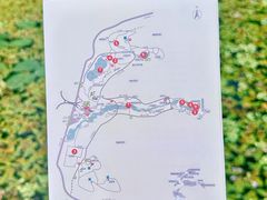 -云溪植物园
