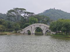 -顺峰山公园