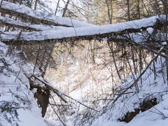 -峡谷浮石林景区