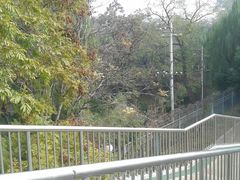 -紫竹院公园冰场