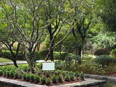 -南宁荔园维景国际酒店·荔园中餐厅