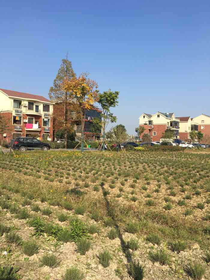 杭州兰里景区"兰里景区有1202 和1229m公车可以-大众点评移动版