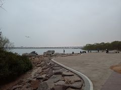 -宝安西湾红树林湿地公园