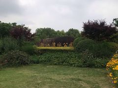-新江湾城公园