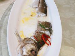 -乐和餐饮(活力源店)