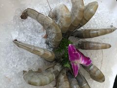 -红菇坊鲜汤火锅(北行店)