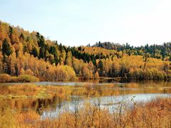 -五营红松林海景区