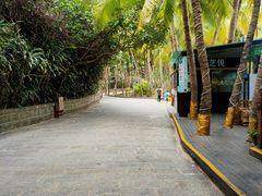 -海南分界洲岛旅游区