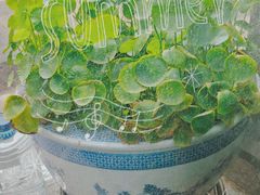 -沈阳奥林匹克体育中心