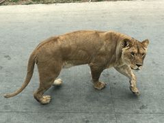-西安秦岭野生动物园