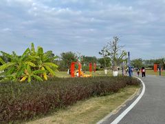 -芒洲湿地公园