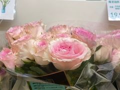 -盒马鲜生(岭南新世界店)