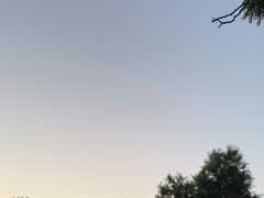 -护国天仙圣母庙