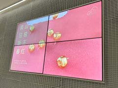 -喜茶(深圳丰盛町店)