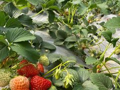 -白鹭湾湿地公园