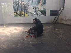 秦岭野生动物园-西安秦岭野生动物园