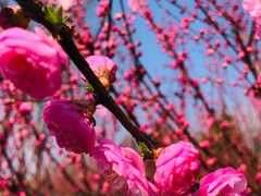 -永定河休闲森林公园