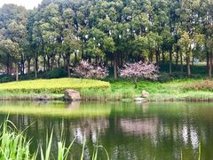 -美兰湖景区