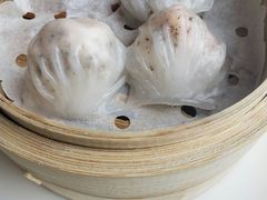 -唐阁海景中餐厅·早茶·粤菜•生日聚餐(海口朗廷酒店)