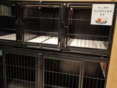-阿那亚第三食堂 Cafeteria 3
