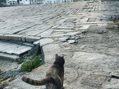 -渔梁坝