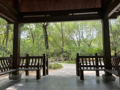 -大兴滨河森林公园