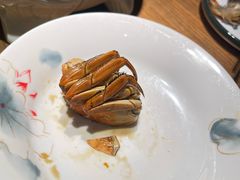 -扬州狮子楼·非遗淮扬菜(东关街店)