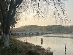 -昆山城市生态森林公园