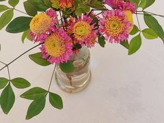 -龙猫意杯花园餐厅(芙蓉湖店)