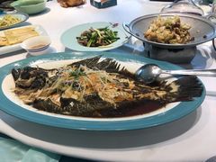 -海派美食·家宴海鲜青岛菜·石锅鲽鱼头(东方城店)