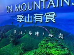 -季季山•云南野生菌火锅(上海首店)